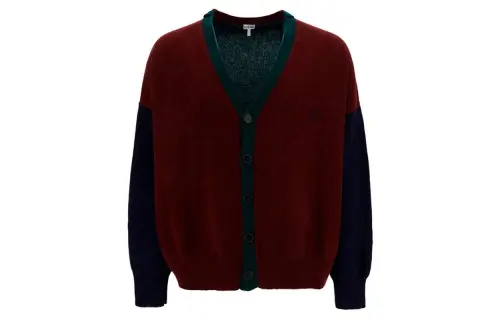 LOEWE Sweaters Men's Multicolor V Neck Moderate Cardigan