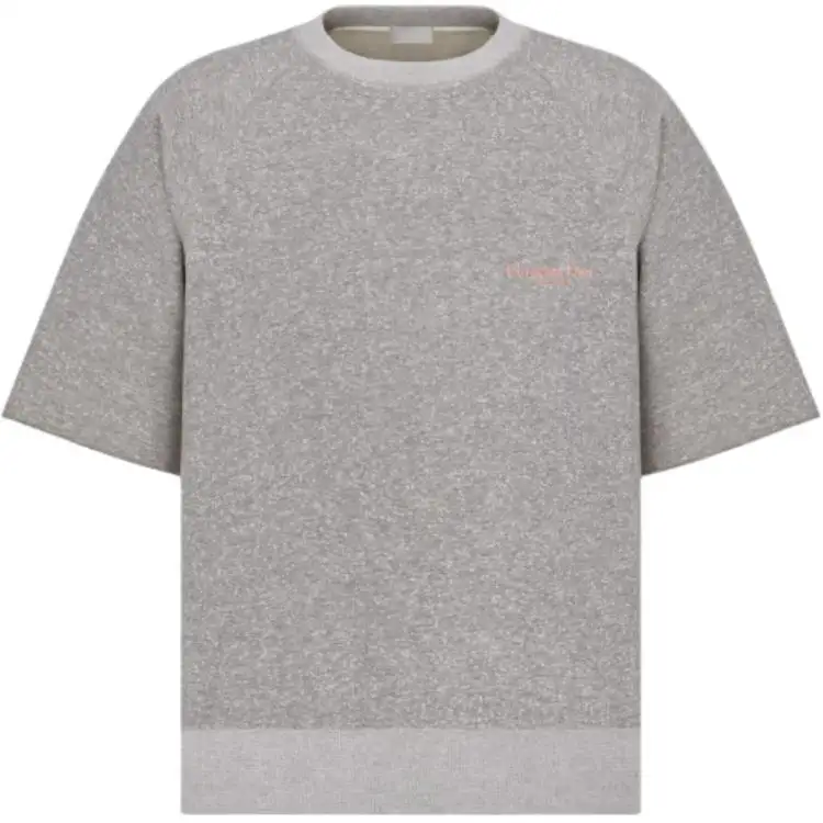 DIOR T Shirts Men's Gray Crew Neck Moderate