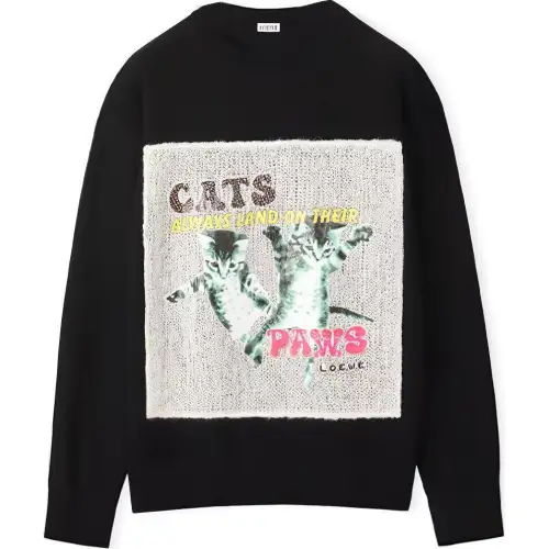 LOEWE Sweaters Men's Black Crew Neck Moderate Other