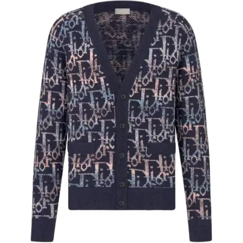 DIOR Sweaters Men's Blue V Neck Moderate