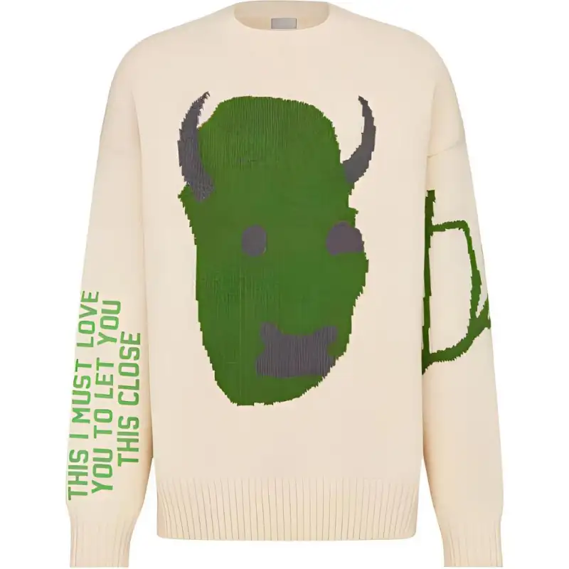 DIOR X Cactus Jack Oversized Sweater