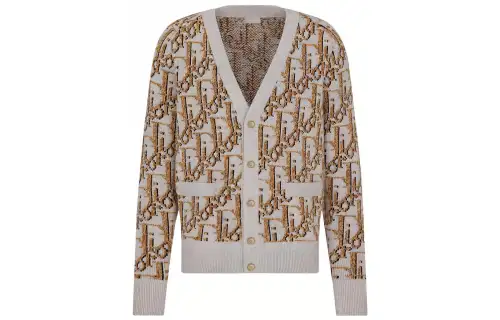 DIOR FW22 Sweater Men's Beige Brown