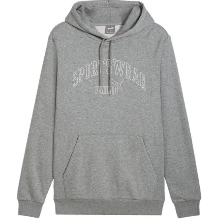 PUMA Sweatshirts Men's Gray Hooded Moderate Regular