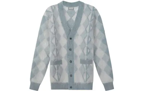 DIOR Sweaters Men's Gray Blue V Neck Moderate Cardigan