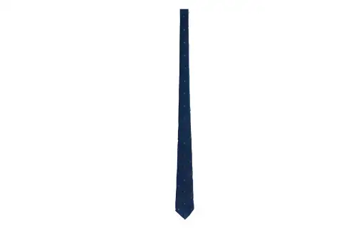 LOUIS VUITTON Silk Ties Men's Blue