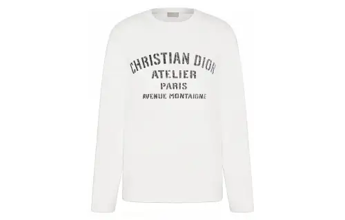 DIOR Quarterly New Products T Shirts Men's White Crew Neck Moderate Straight Fit
