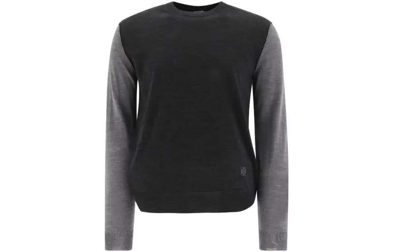 LOEWE Sweaters Men's Gray Crew Neck Moderate Other
