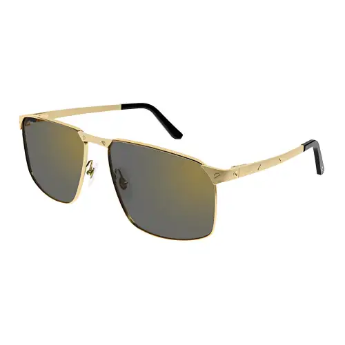 Cartier Eyewear Santos De Cartier Sunglasses