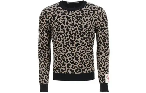 Golden Goose SS22 Sweater Men's Brown