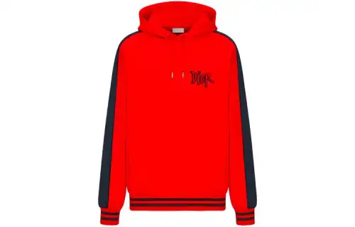 DIOR And Shawn Oversized Hooded Sweatshirt