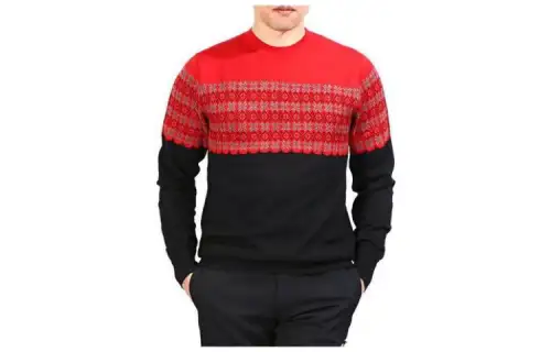 DIOR Sweaters Men's Red Crew Neck Moderate Other