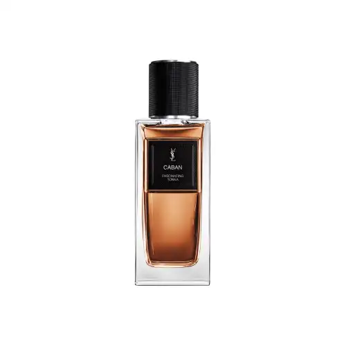 SAINT LAURENT Kaban