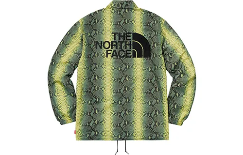 Supreme The North Face Snakeskin Taped Seam Coaches Jacket