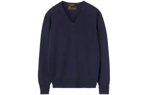 Loro Piana Knitwear Men's Marine Blue V Neck Moderate Other