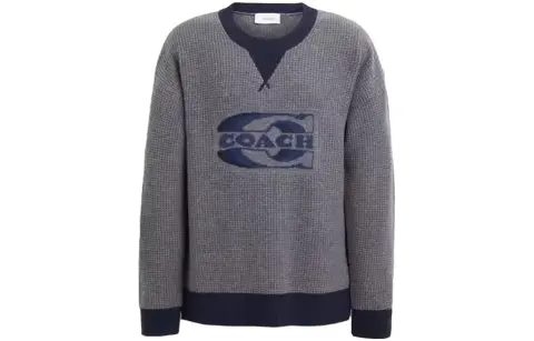 COACH Sweaters Men's Crew Neck Moderate Other