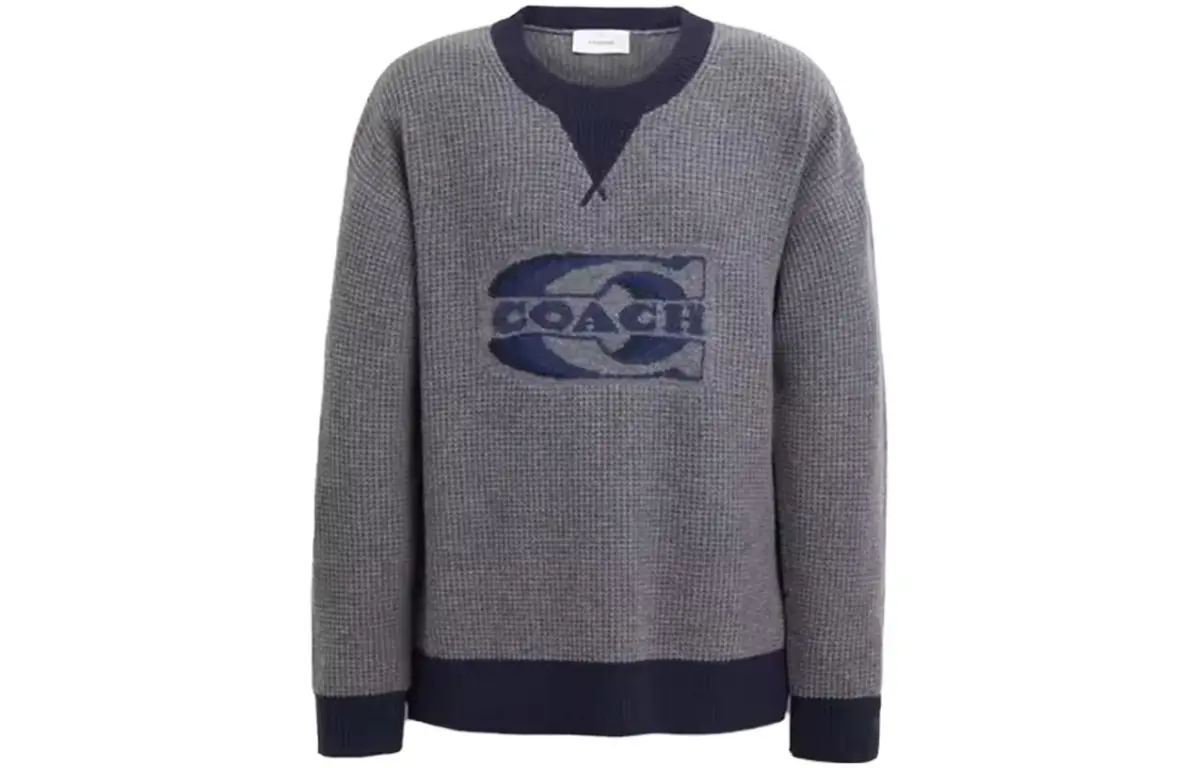 COACH Sweaters Men's Crew Neck Moderate Other