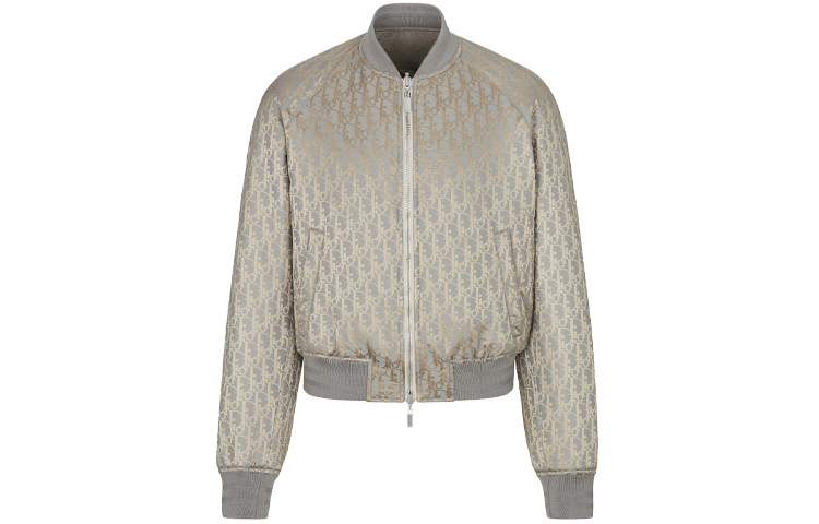 DIOR Dior SS21 Oblique Printed Reversible Bomber Jacket Men's Gray