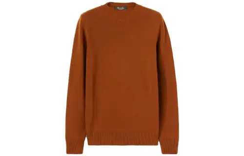 Loro Piana Sweaters Men's Brown Crew Neck Moderate Other
