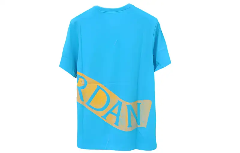 Jordan T Shirts Men's Blue Crew Neck Moderate Straight Fit