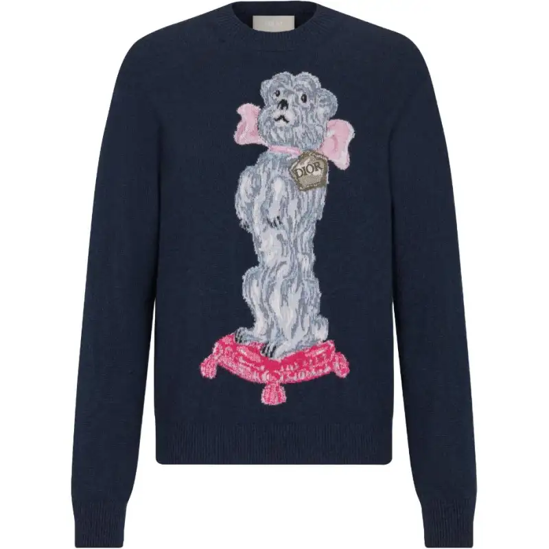 DIOR Sweaters Men's Marine Blue Crew Neck Moderate Other