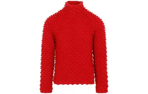 Bottega Veneta Sweaters Men's Red Turtleneck Moderate Other