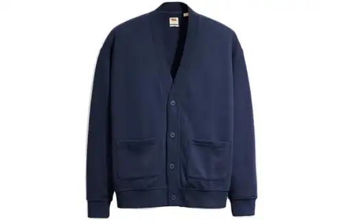 Levis Knitwear Men's Dark Blue V Neck Moderate Other