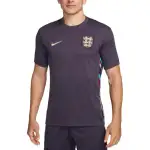 Nike Dri Fit T Shirts Men's Dark Grape Crew Neck Moderate Straight Fit
