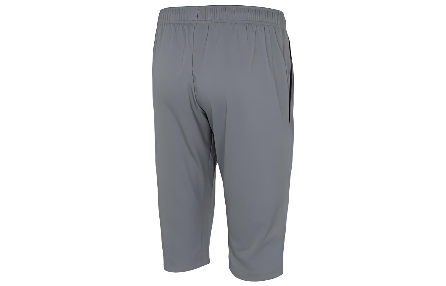Мужские шорты Nike (серые) — фото 2