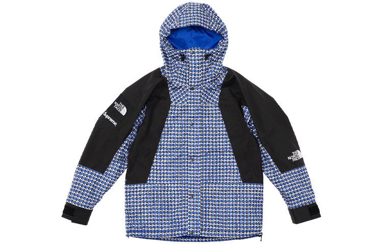 Supreme x /THE NORTH FACE  SS21