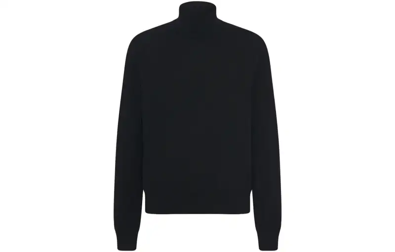 THE ROW Sweaters Men's Black Turtleneck Moderate Other
