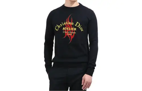 DIOR Sweaters Men's Black Crew Neck Moderate Other