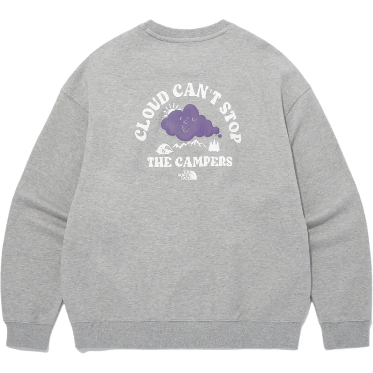 THE NORTH FACE Sweatshirt Men's Gray