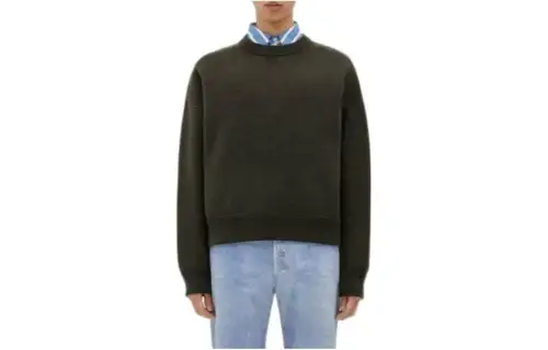 Bottega Veneta Sweaters Men's Crew Neck Moderate Other