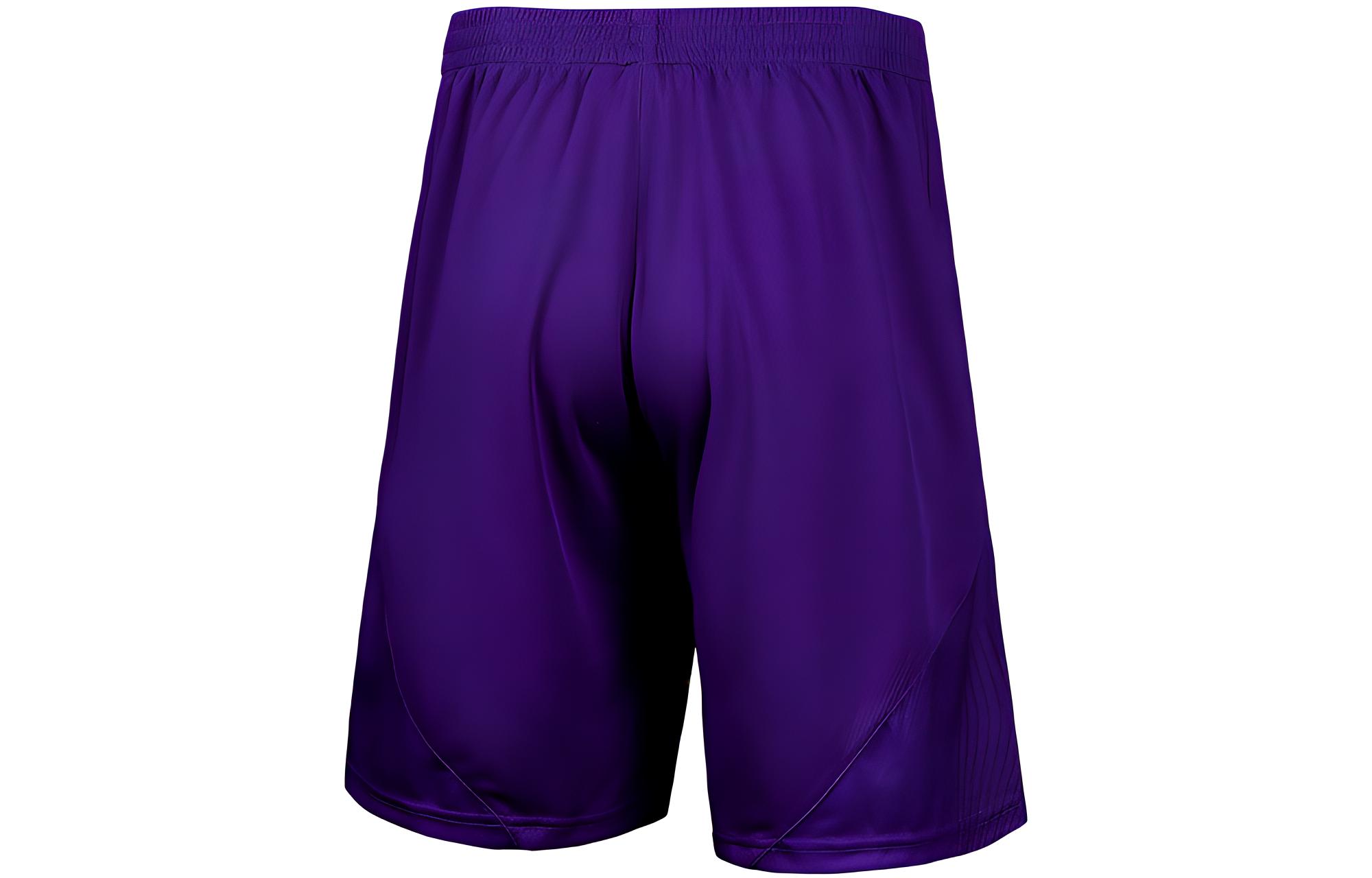Under Armour Shorts Men’s Purple