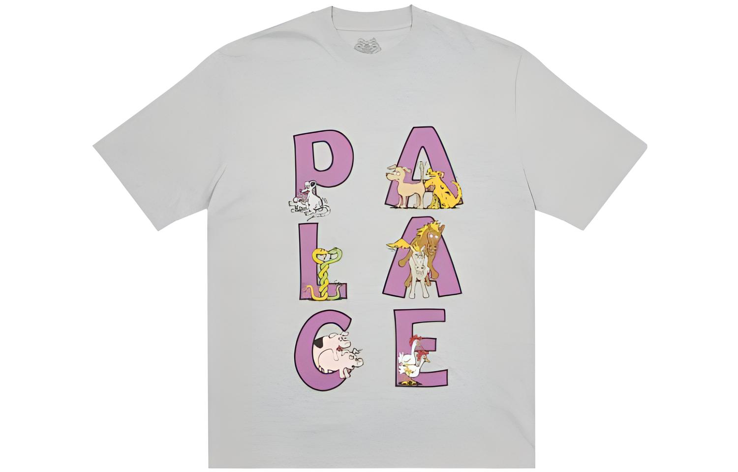 Мужская футболка Palace PALACE FW22 Session T-shirt Grey Marl T (серая)