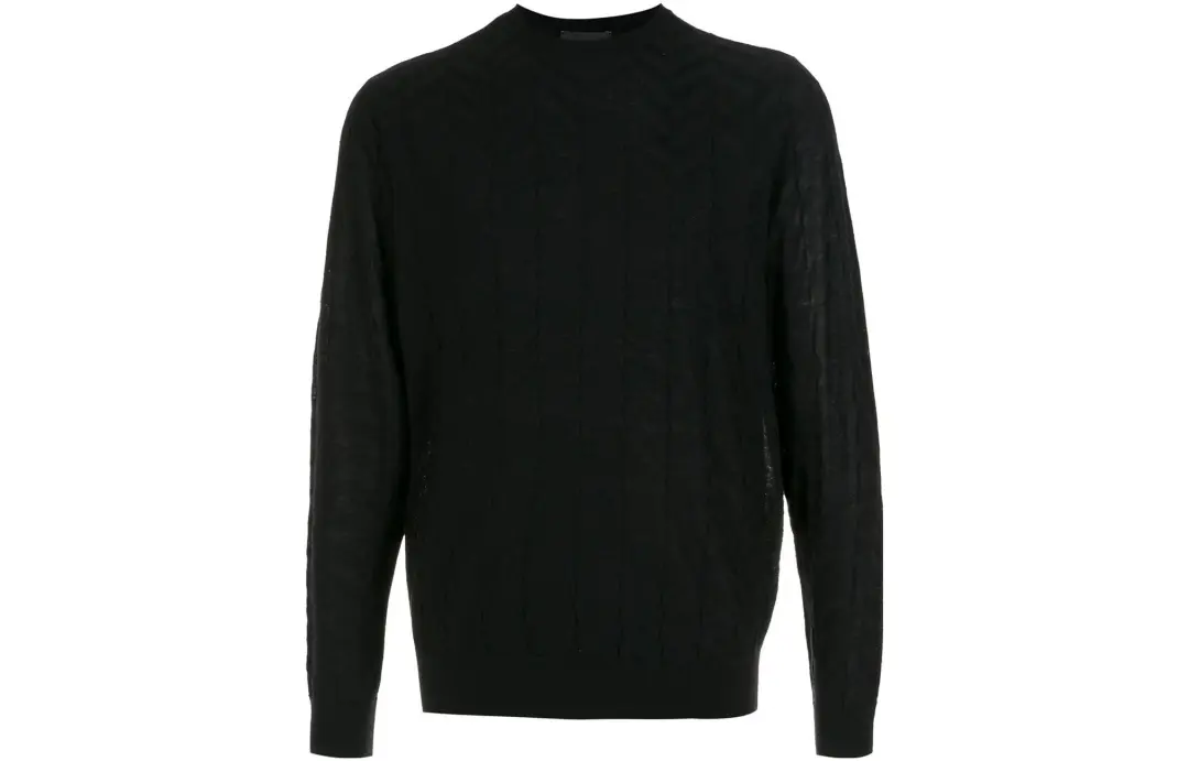 EMPORIO ARMANI Sweaters Men's Crew Neck Moderate Other