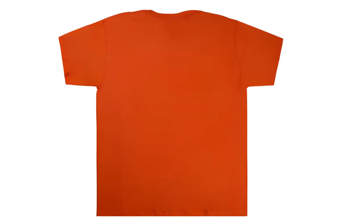 Champion T Shirt US Version Unisex Orange