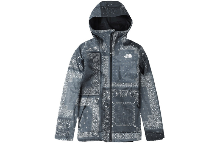 Мужская куртка The North Face SS20 (темно-синяя)