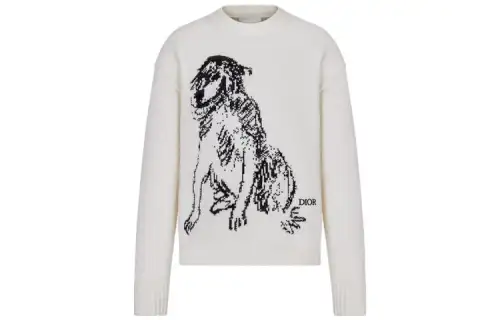 DIOR Sweaters Men's White Crew Neck Moderate Other