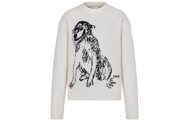 DIOR Sweaters Men's White Crew Neck Moderate Other