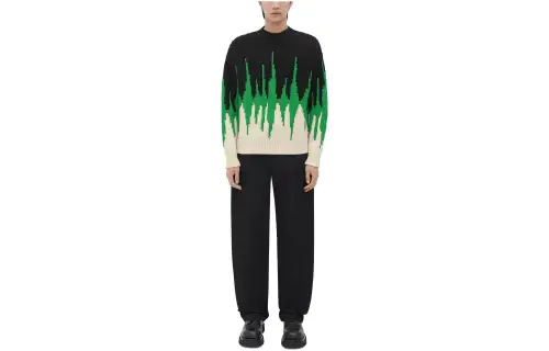 Bottega Veneta Sweaters Men's Parrot Green Crew Neck Moderate Other