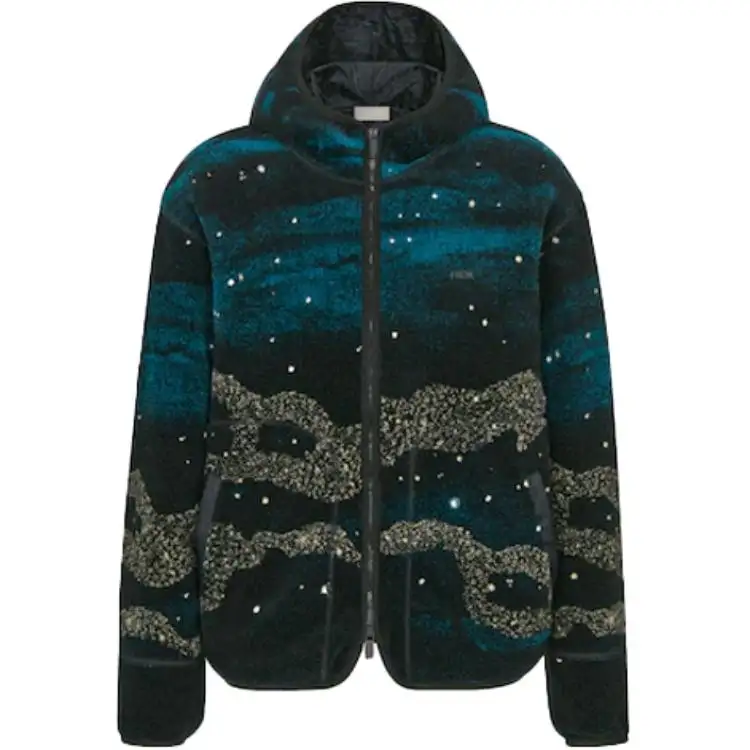 DIOR X Peter Doig Zipped Hooded Blouson