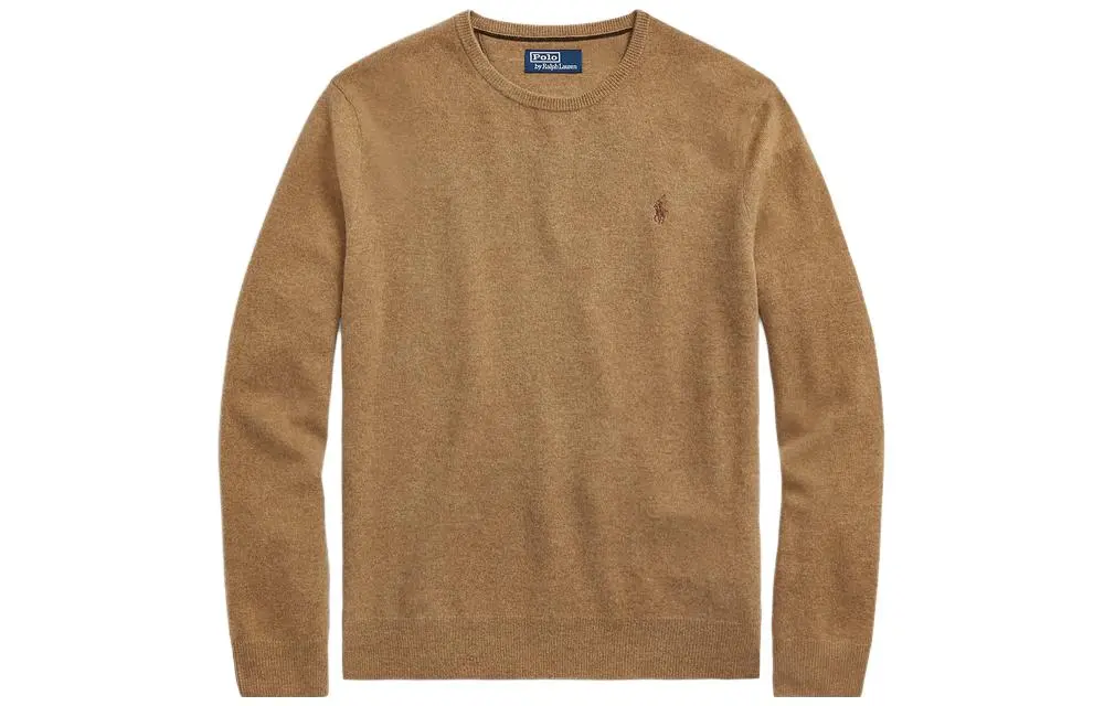 Polo Ralph Lauren FW23 Sweater Standard Men's Brown