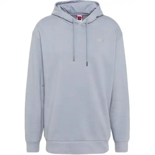 THE NORTH FACE Sweatshirt Men's Gray
