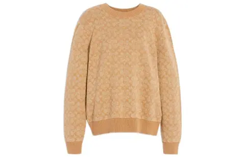COACH Sweaters Men's Camel Crew Neck Moderate