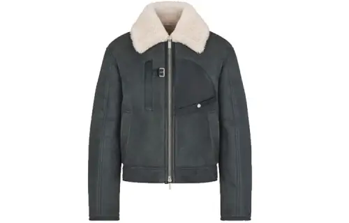 DIOR Quarterly New Products Jackets Men's Gray Lapel Moderate Straight Fit