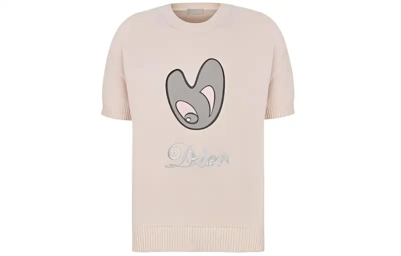 DIOR Quarterly New Products T Shirts Men's Pink Crew Neck Moderate Straight Fit