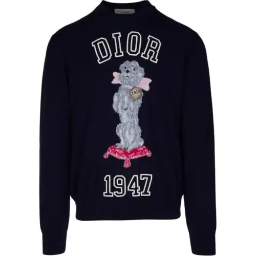 DIOR Sweaters Men's Dark Blue Crew Neck Moderate Other