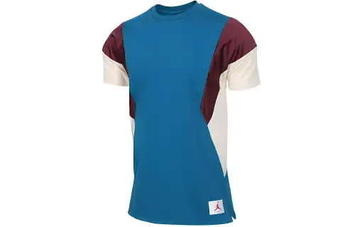 Jordan T Shirts Men's Blue Crew Neck Moderate Straight Fit