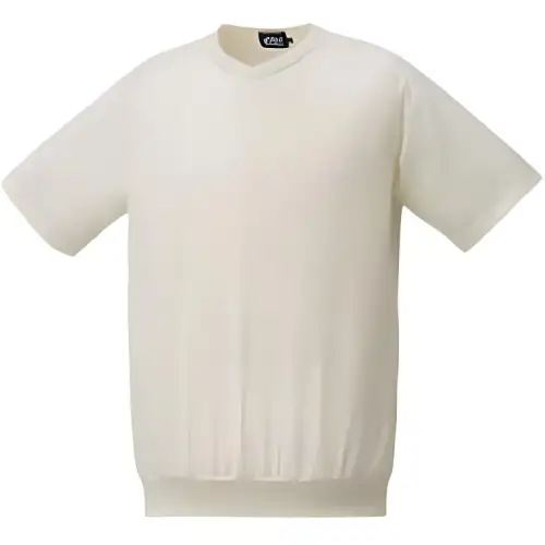 ASICS T Shirts Men's Ivory V Neck Straight Fit